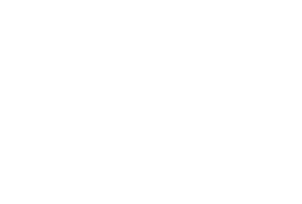 Histrong Group 海创集团